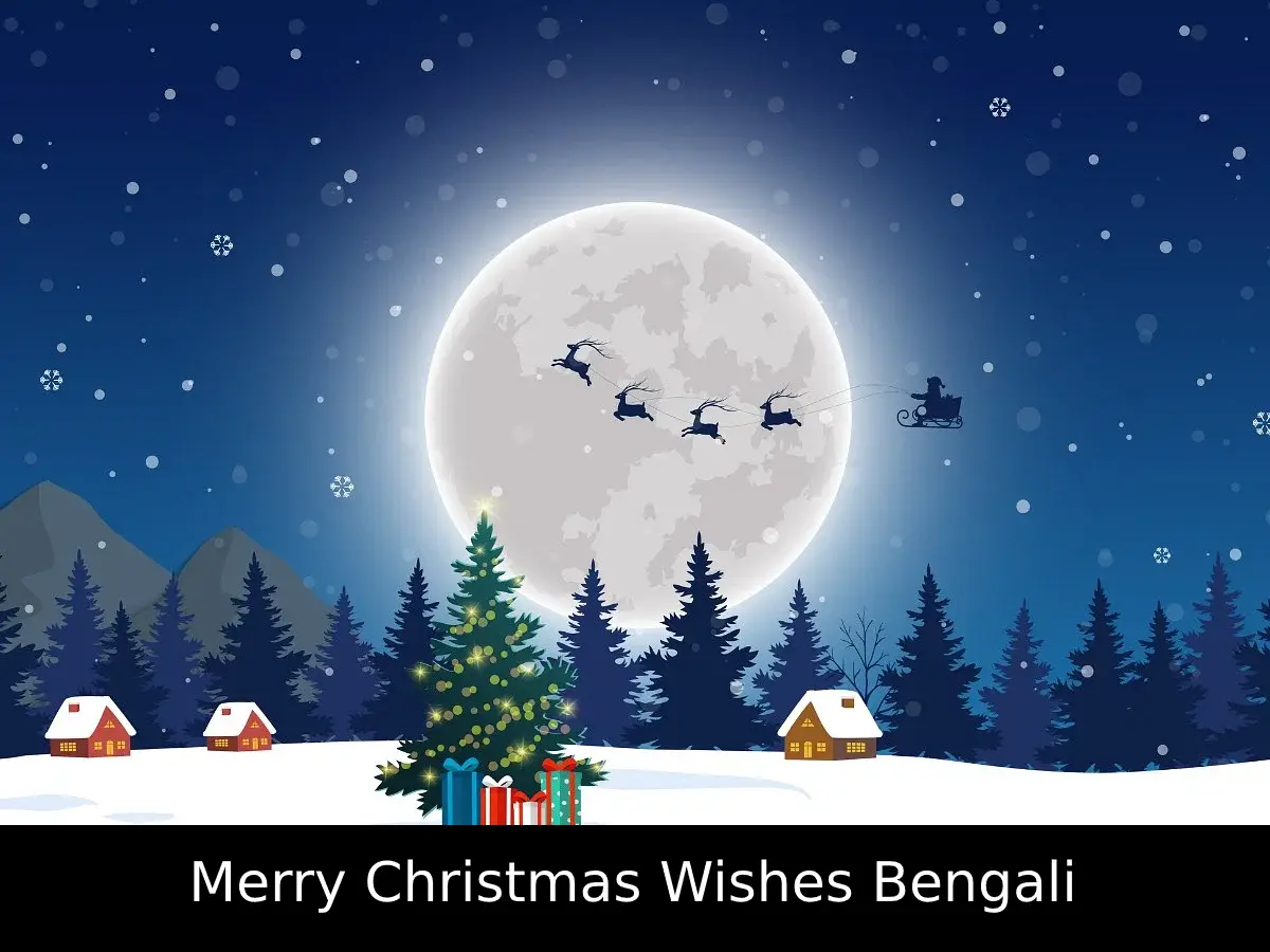 Merry Christmas Wishes Bengali