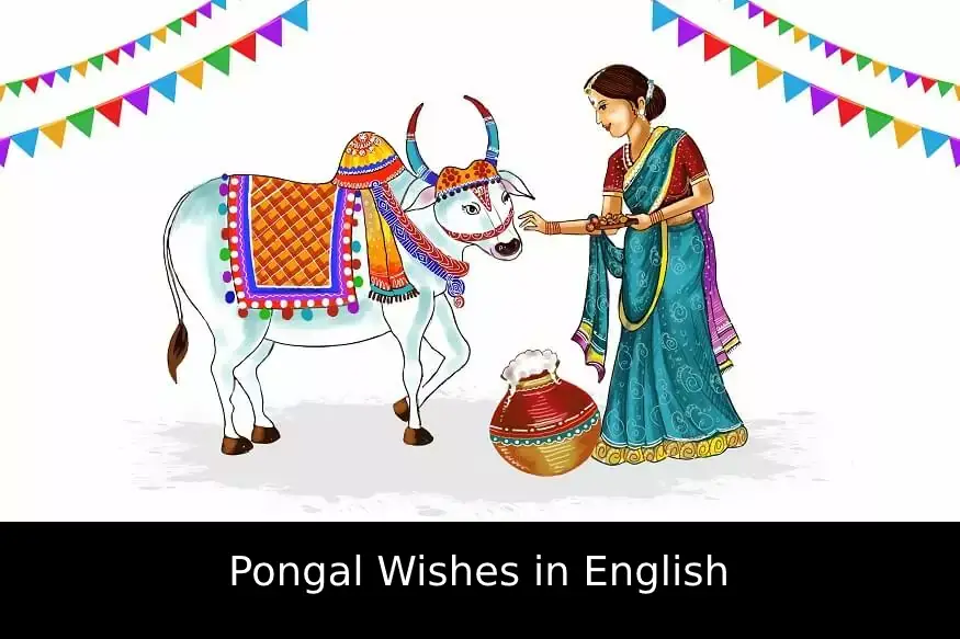 Pongal Wishes in English