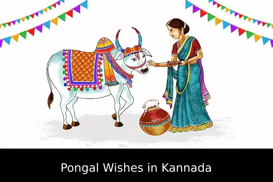 Pongal Wishes in Kannada