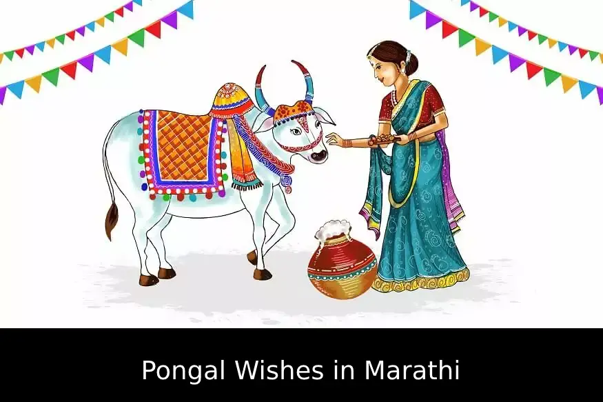 Pongal Wishes in Marathi