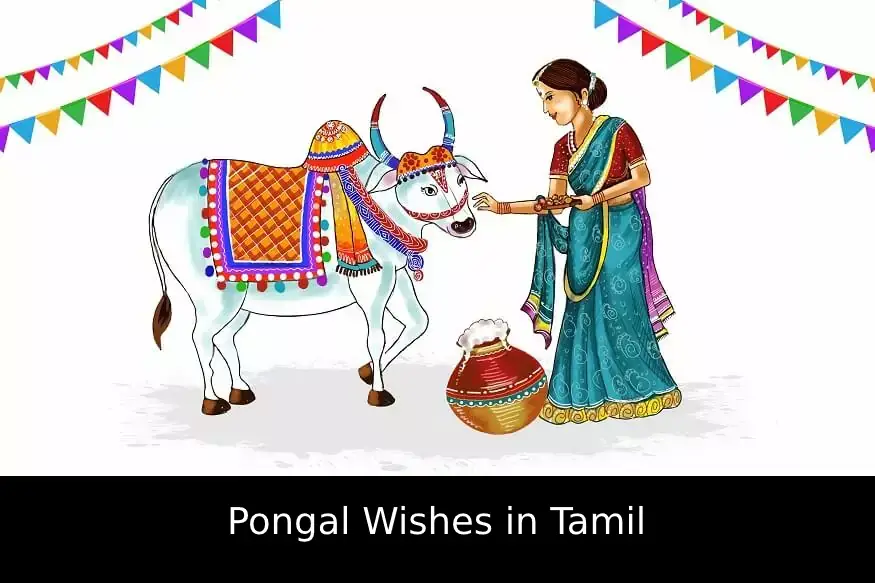 Pongal Wishes in Tamil